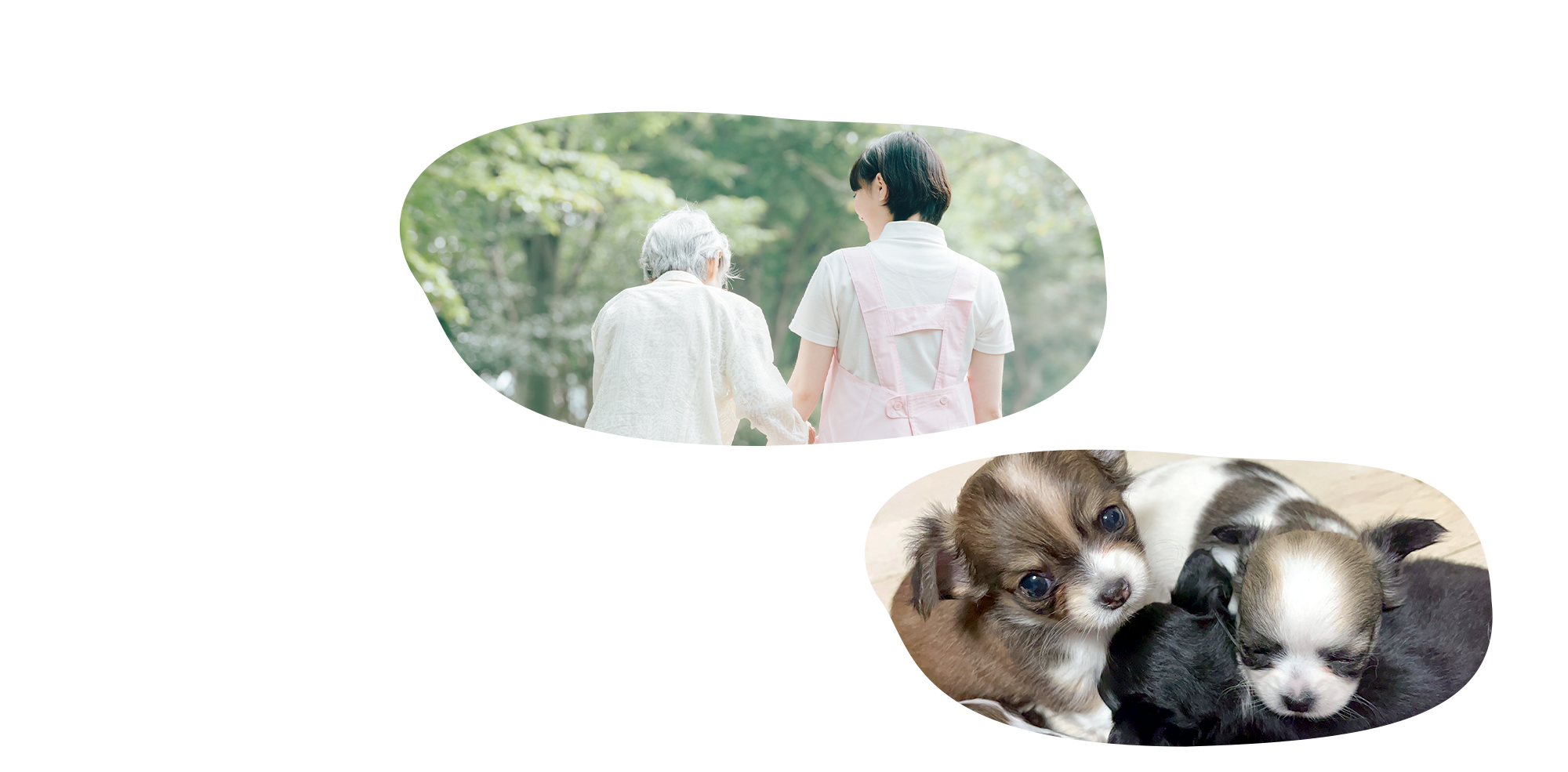 夢と愛情いっぱいの暮らしを支えます
