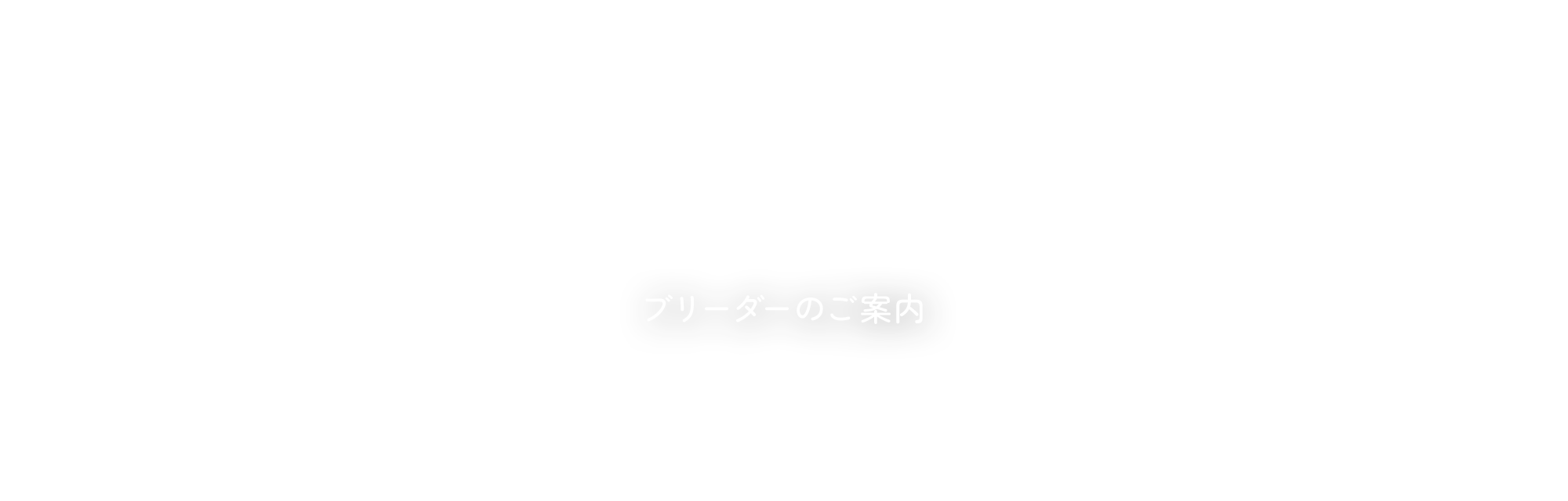 ブリーダーのご案内