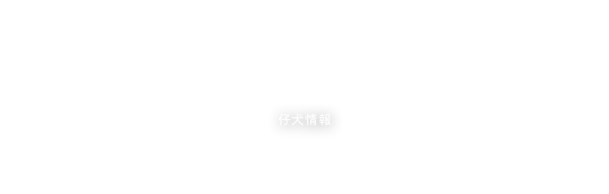 仔犬情報